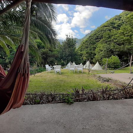 Nature Retreat - Laurel Forest Сейшал Екстериор снимка