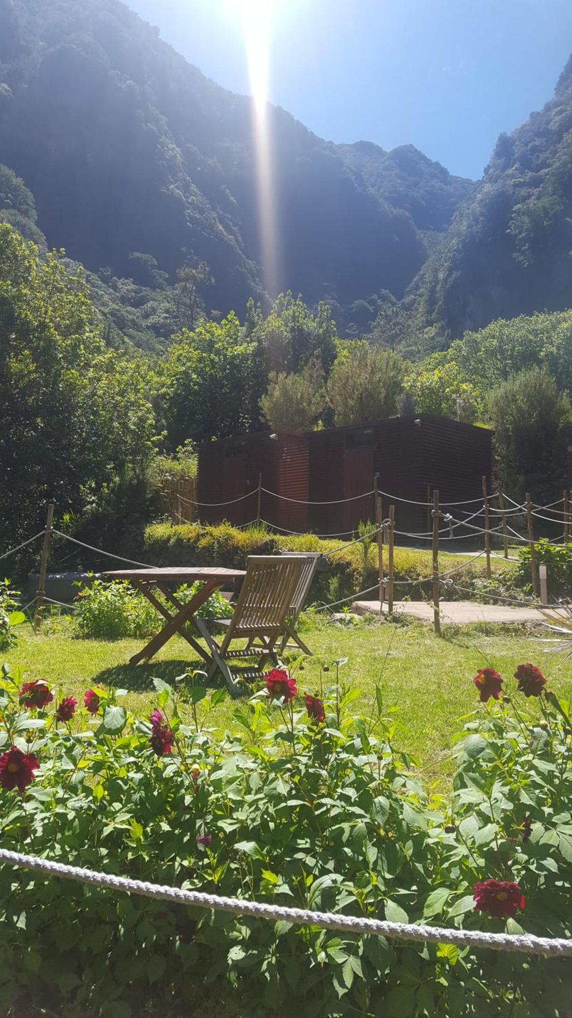 Nature Retreat - Laurel Forest Сейшал Екстериор снимка
