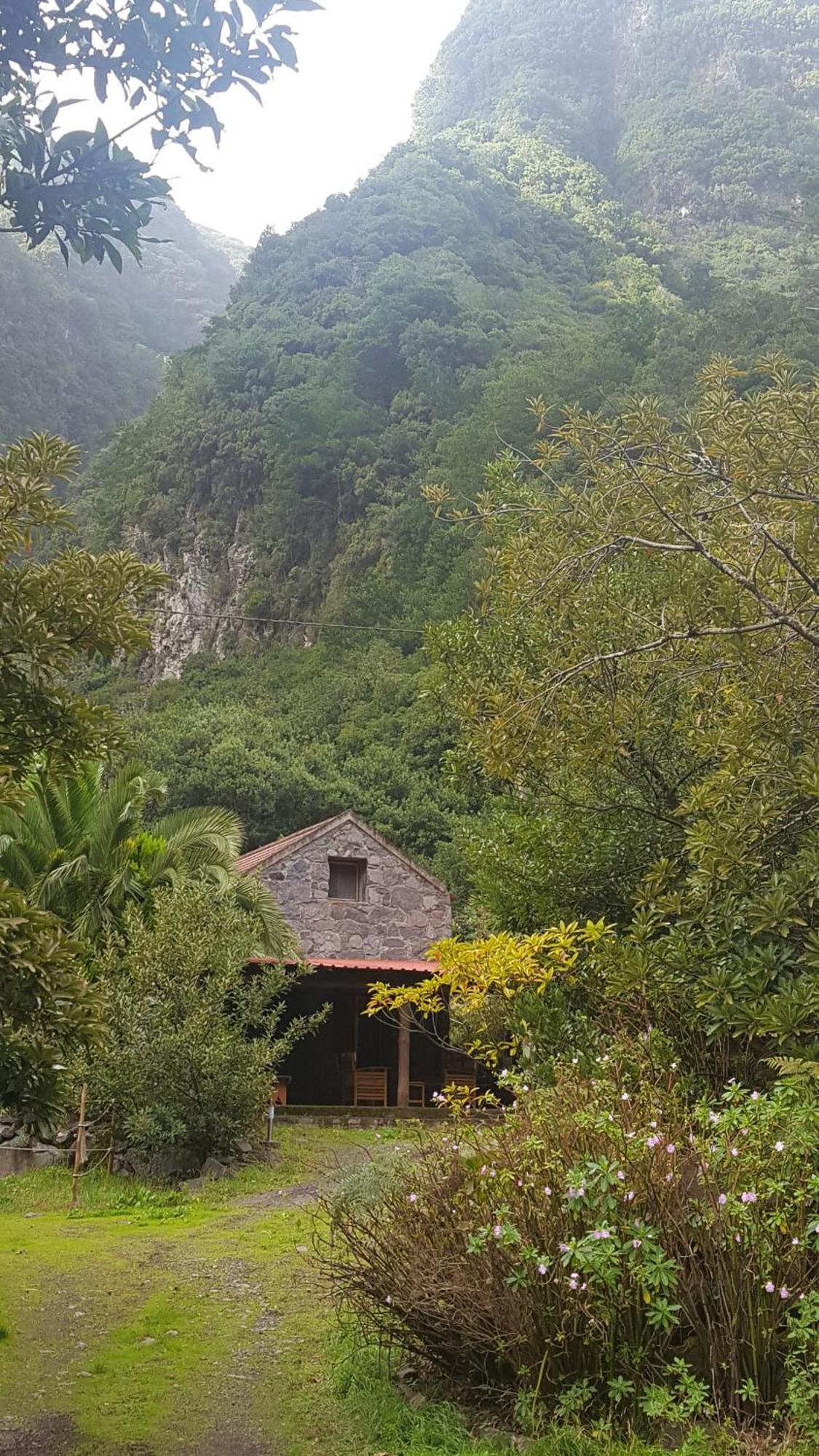 Nature Retreat - Laurel Forest Сейшал Екстериор снимка