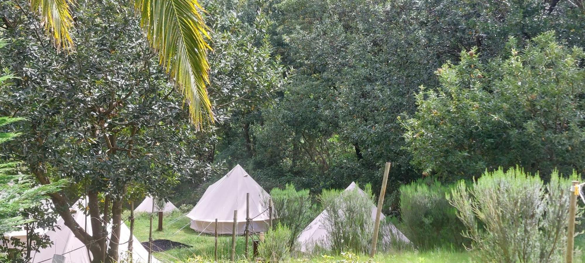 Nature Retreat - Laurel Forest Сейшал Екстериор снимка