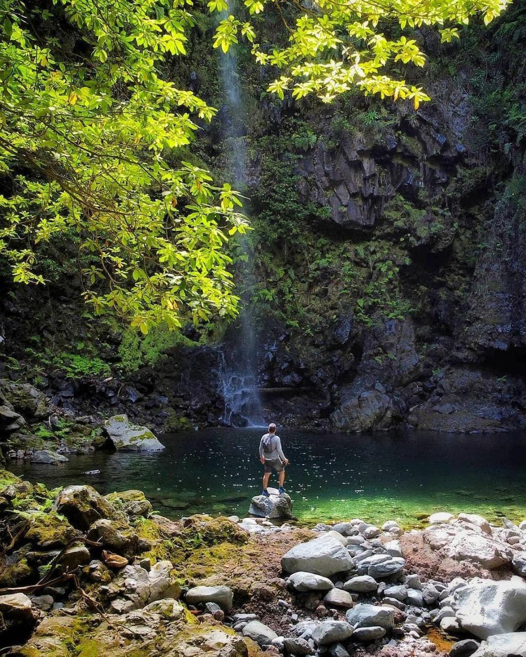 Nature Retreat - Laurel Forest Сейшал Екстериор снимка