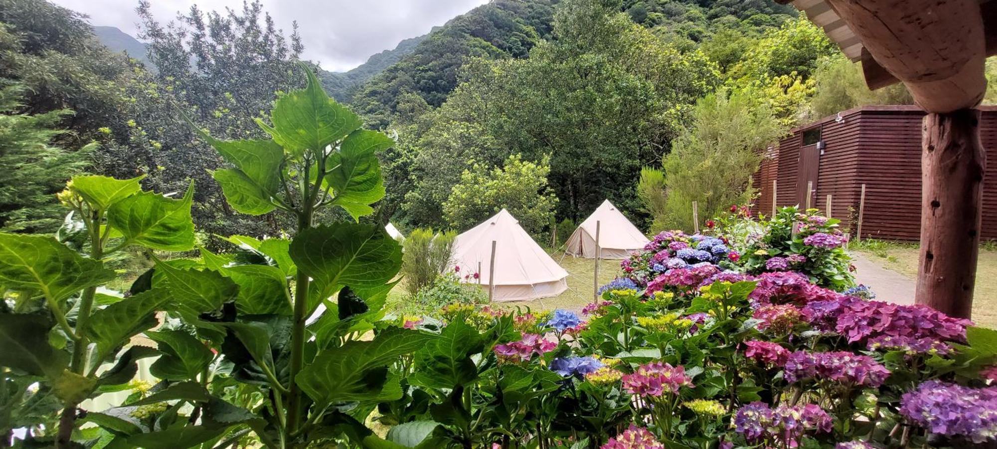 Nature Retreat - Laurel Forest Сейшал Екстериор снимка